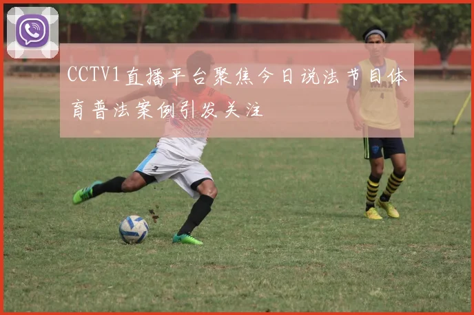 CCTV1直播平台聚焦今日说法节目体育普法案例引发关注