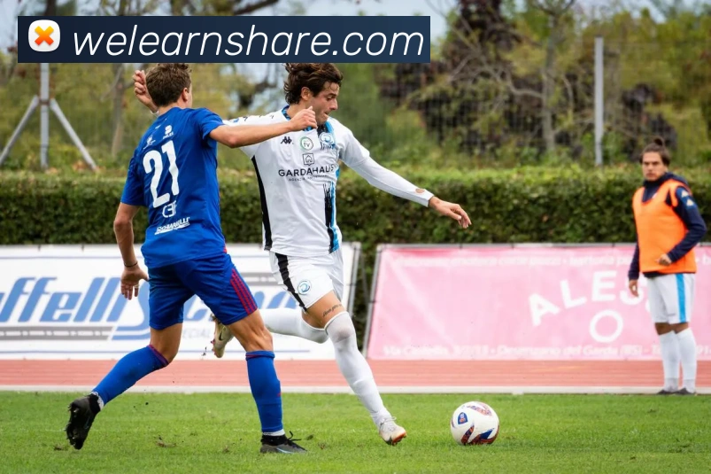 买球官方APP 封面图